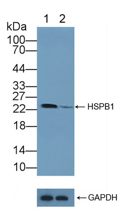 12108