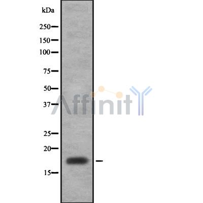 Валидация Affinity DF8464 - 20342