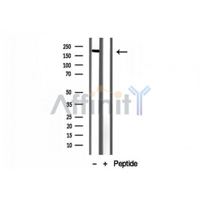 Валидация Affinity DF12183 - 6410