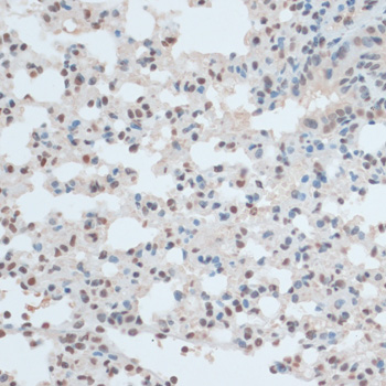 Валидация Elabscience E-AB-66374
