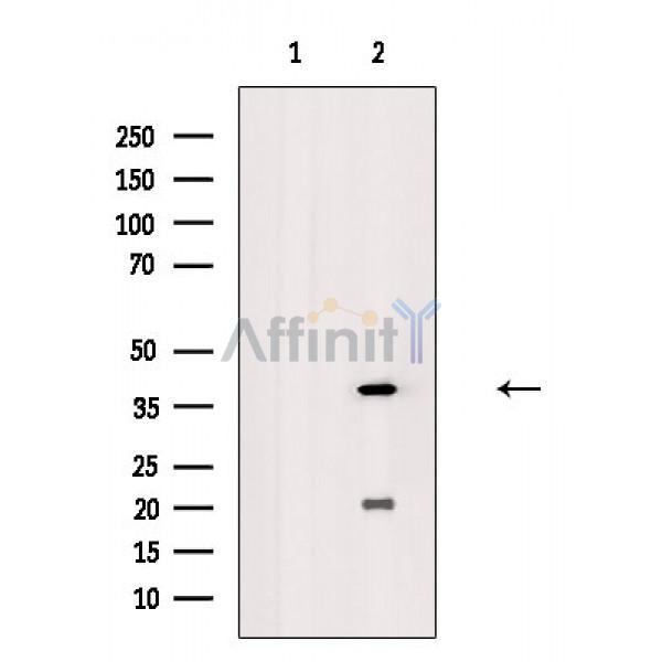 Валидация Affinity AF6805 - 4047