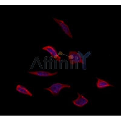 Валидация Affinity DF10255 - 5849