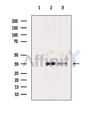 Валидация Affinity DF4284 - 15694