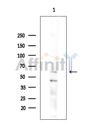 Валидация Affinity DF14316 - 10210