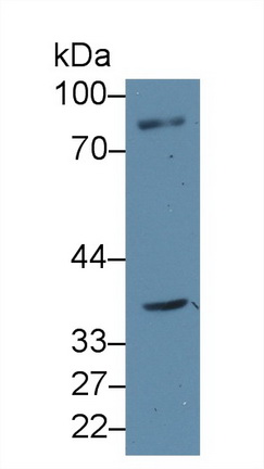 13543