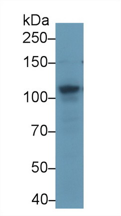 10045