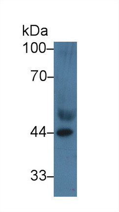 9435