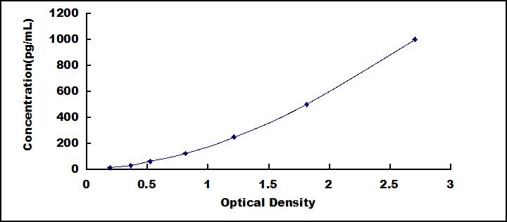 52080