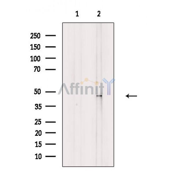 Валидация Affinity DF8073 - 19910