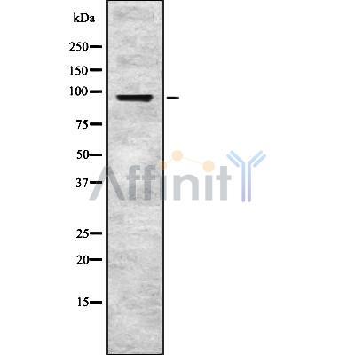 Валидация Affinity DF8413 - 20285