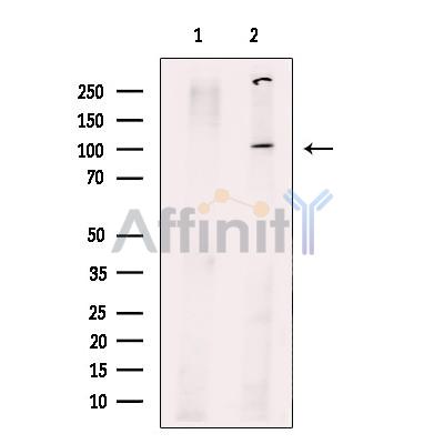 Валидация Affinity DF12050 - 6099