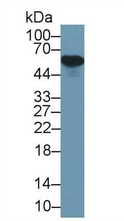 13482