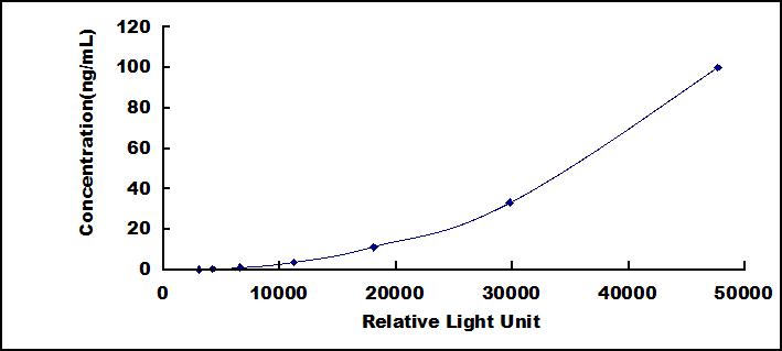 46292