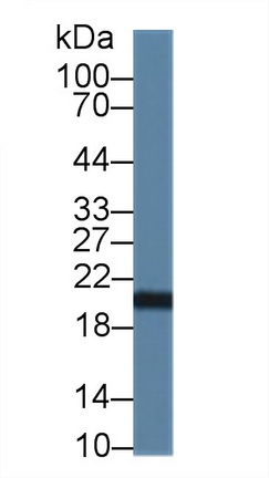 14039