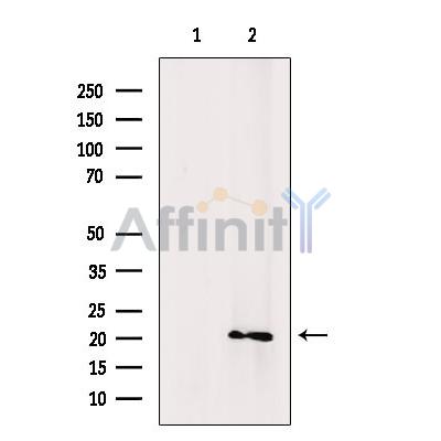 Валидация Affinity DF8797 - 20835