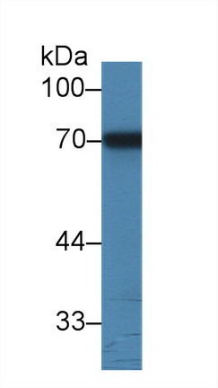 9433