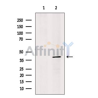 Валидация Affinity DF13380 - 8631