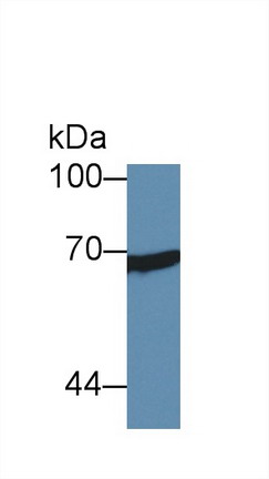 8402