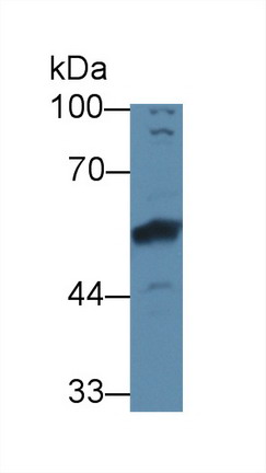 8490