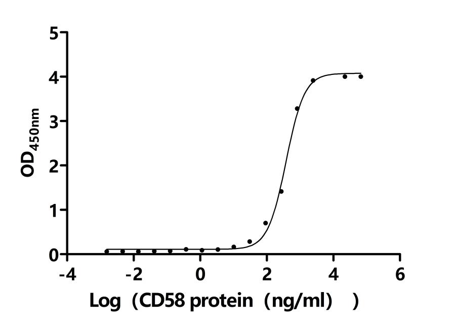 Функциональный ИФА: связывание человеческого CD2 с CD58
