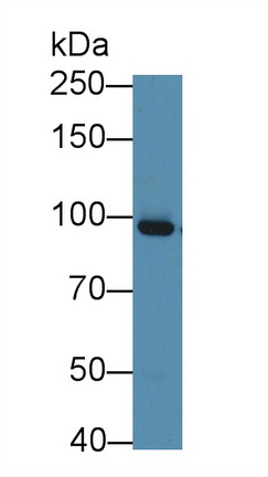 62720