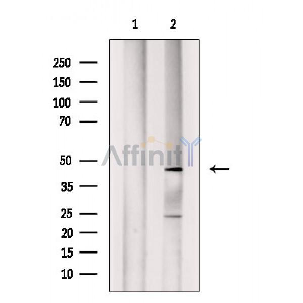Валидация Affinity DF3717 - 14770