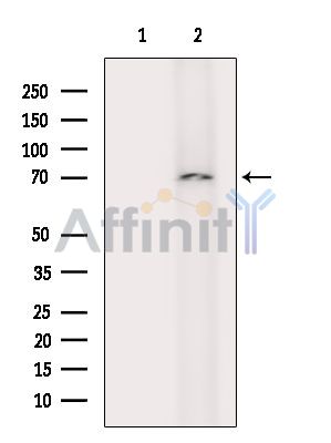 Валидация Affinity DF14576 - 10577