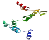 Zinc Finger Protein 829 (ZNF829)