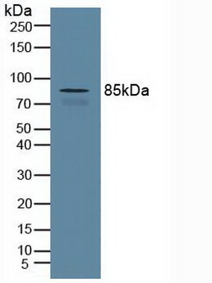 5108