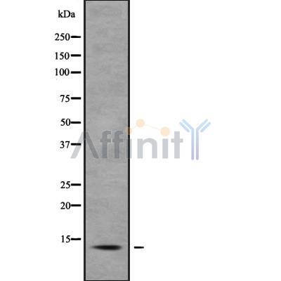 Валидация Affinity DF9783 - 22630
