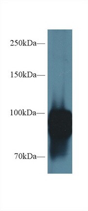 10382