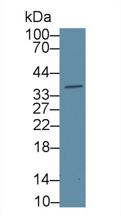 8396
