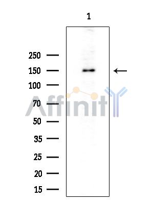 Валидация Affinity DF7349 - 19056