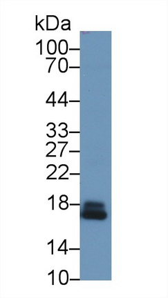 13282