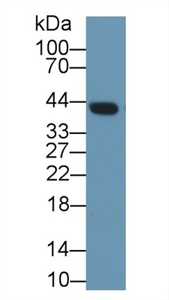 9671