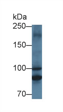 8758