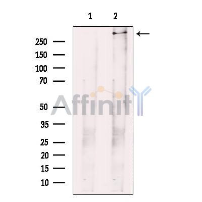 Валидация Affinity DF12083 - 6173