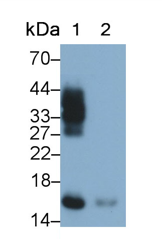30720
