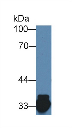 12843