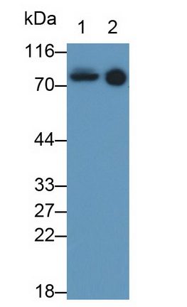 13341
