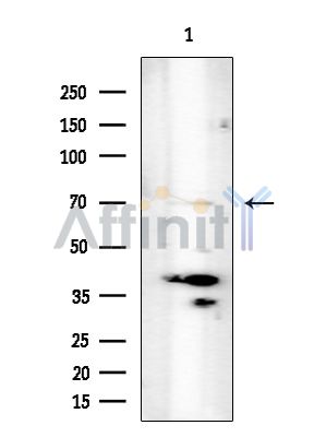 Валидация Affinity DF8403 - 20275