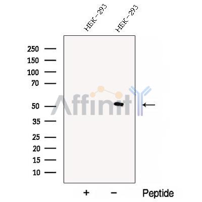 Валидация Affinity DF12896 - 7642