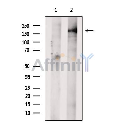 Валидация Affinity DF13648 - 9202