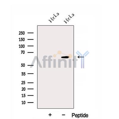Валидация Affinity DF12948 - 7711