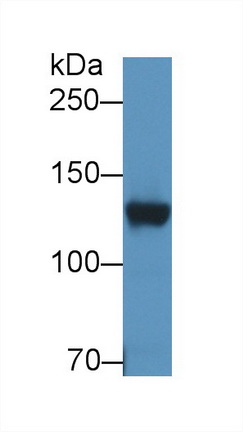 8876