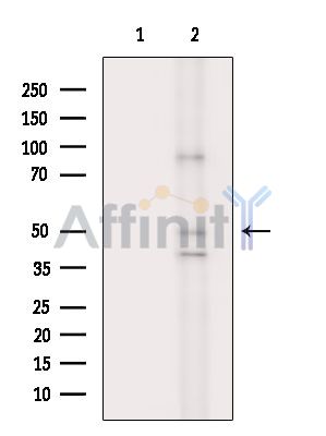 Валидация Affinity DF15149 - 11414