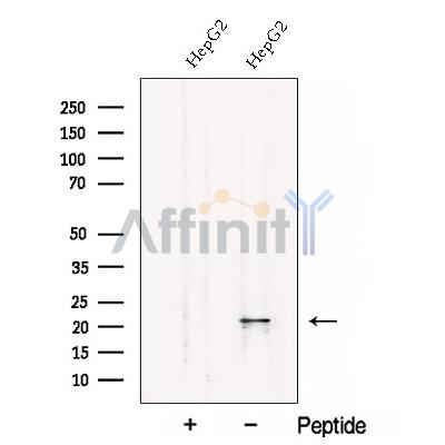 Валидация Affinity DF12921 - 7674