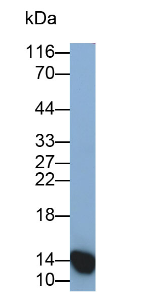 31827