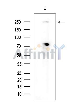 Валидация Affinity DF9537 - 22189
