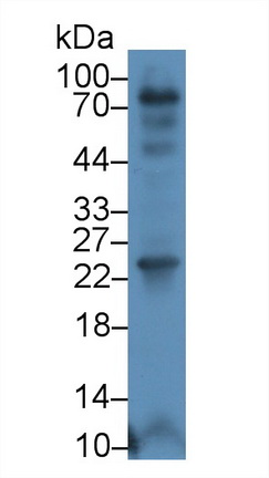 19288